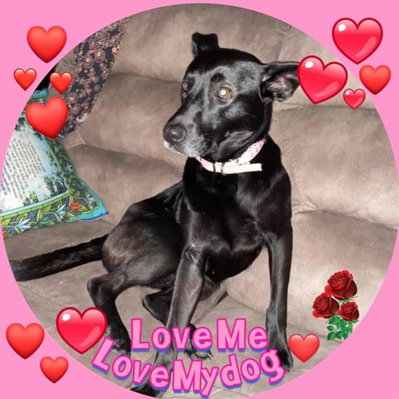 Meet your Posher, Tina - Picture 1 of 1